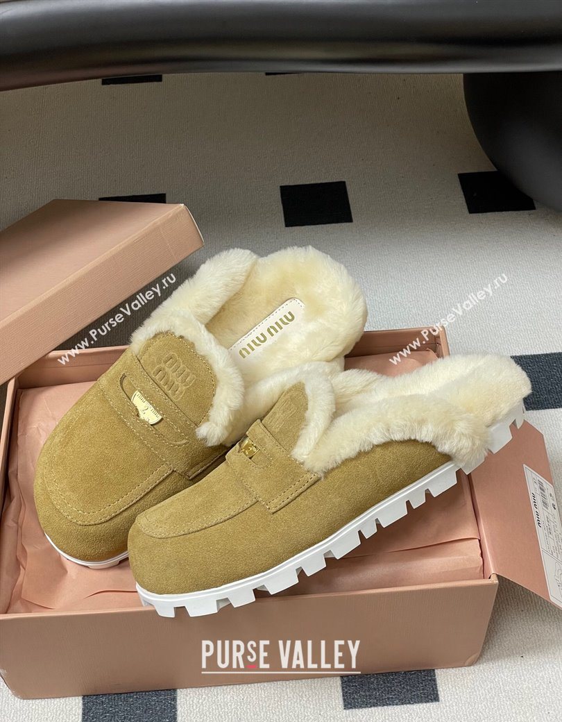 Miu Miu Coin Suede and Wool Mules Light Yellow 2025 5D058E (MD-251208019)