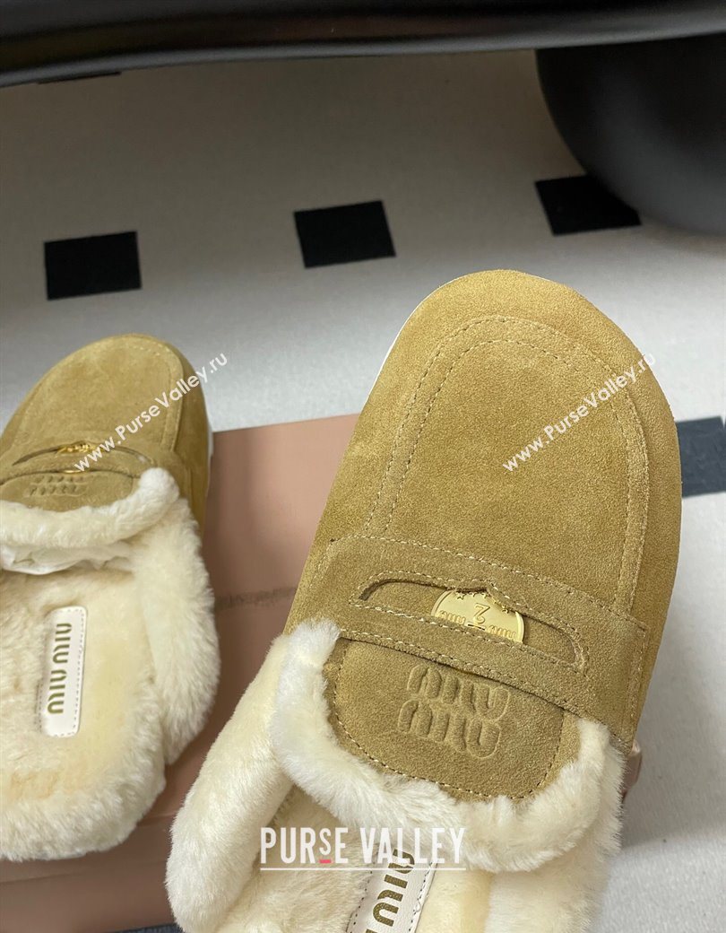 Miu Miu Coin Suede and Wool Mules Light Yellow 2025 5D058E (MD-251208019)