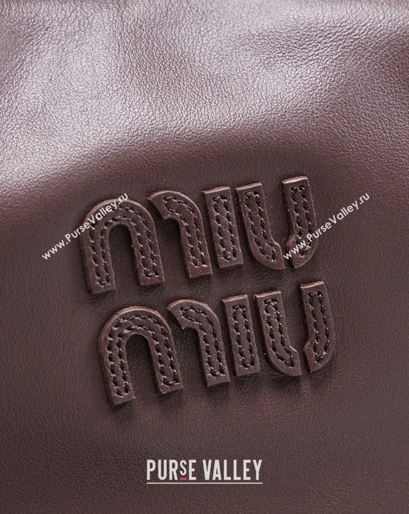 Miu Miu Wander Calf Leather Hobo Mini bag 5BC125 Briar 2026 0407 (MHUI-260407045)