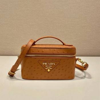 Prada Mini Bag in Ostrich Embossed Leather 1BH202 Brown 2024 (YZ-240312095)