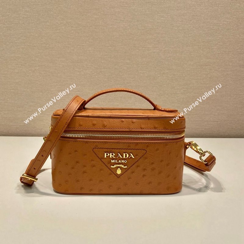 Prada Mini Bag in Ostrich Embossed Leather 1BH202 Brown 2024 (YZ-240312095)