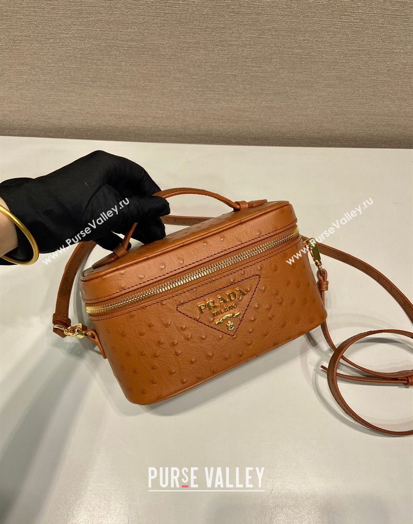 Prada Mini Bag in Ostrich Embossed Leather 1BH202 Brown 2024 (YZ-240312095)