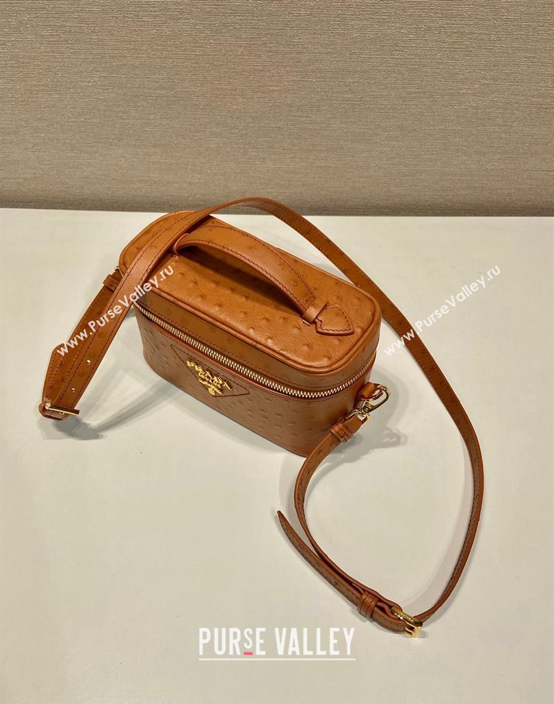 Prada Mini Bag in Ostrich Embossed Leather 1BH202 Brown 2024 (YZ-240312095)