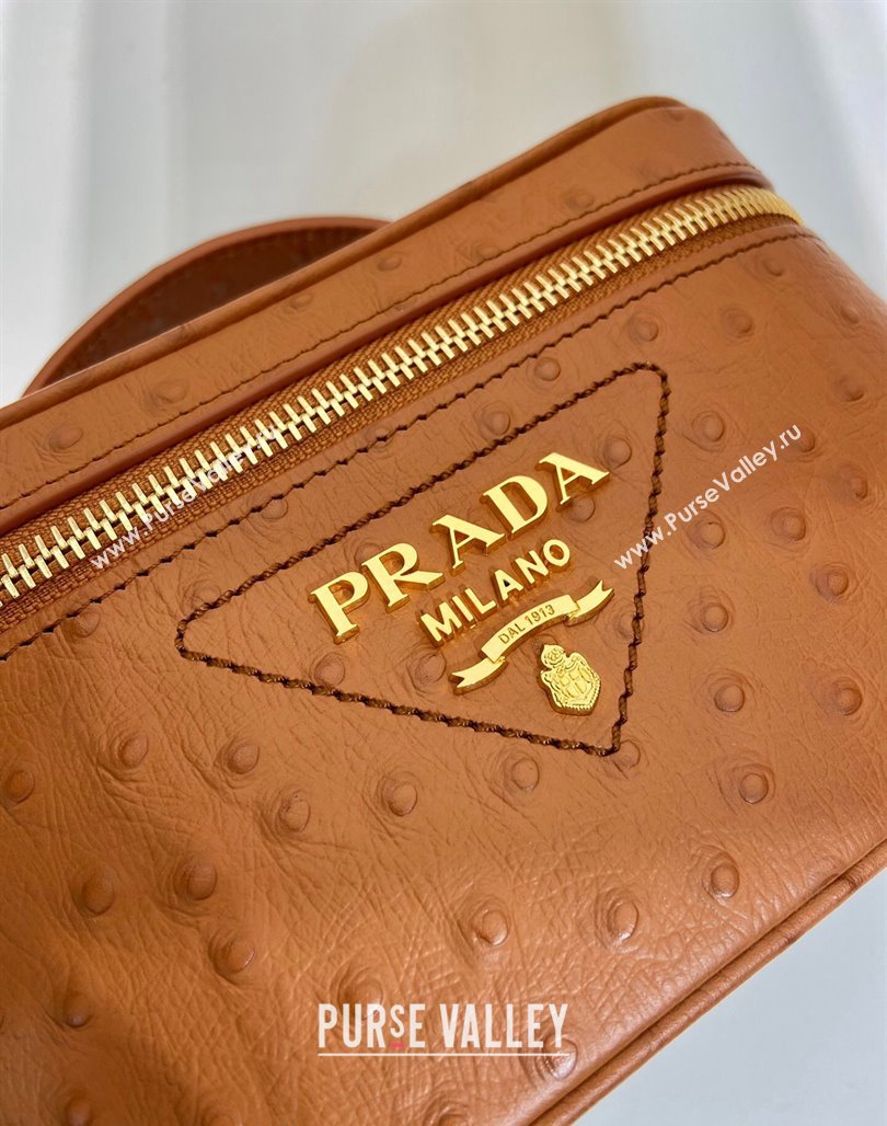 Prada Mini Bag in Ostrich Embossed Leather 1BH202 Brown 2024 (YZ-240312095)