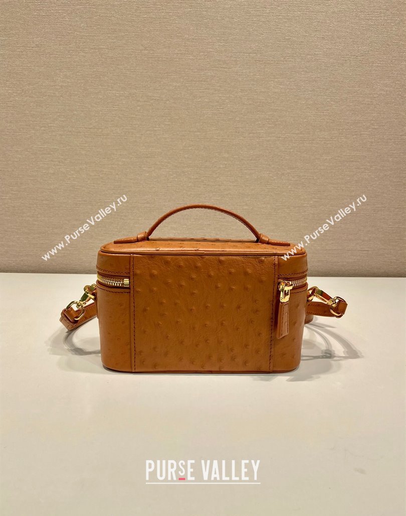 Prada Mini Bag in Ostrich Embossed Leather 1BH202 Brown 2024 (YZ-240312095)