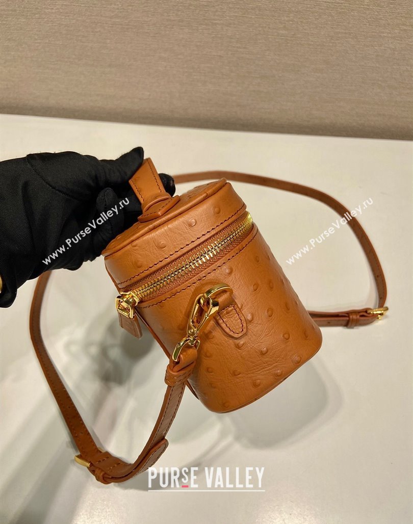 Prada Mini Bag in Ostrich Embossed Leather 1BH202 Brown 2024 (YZ-240312095)