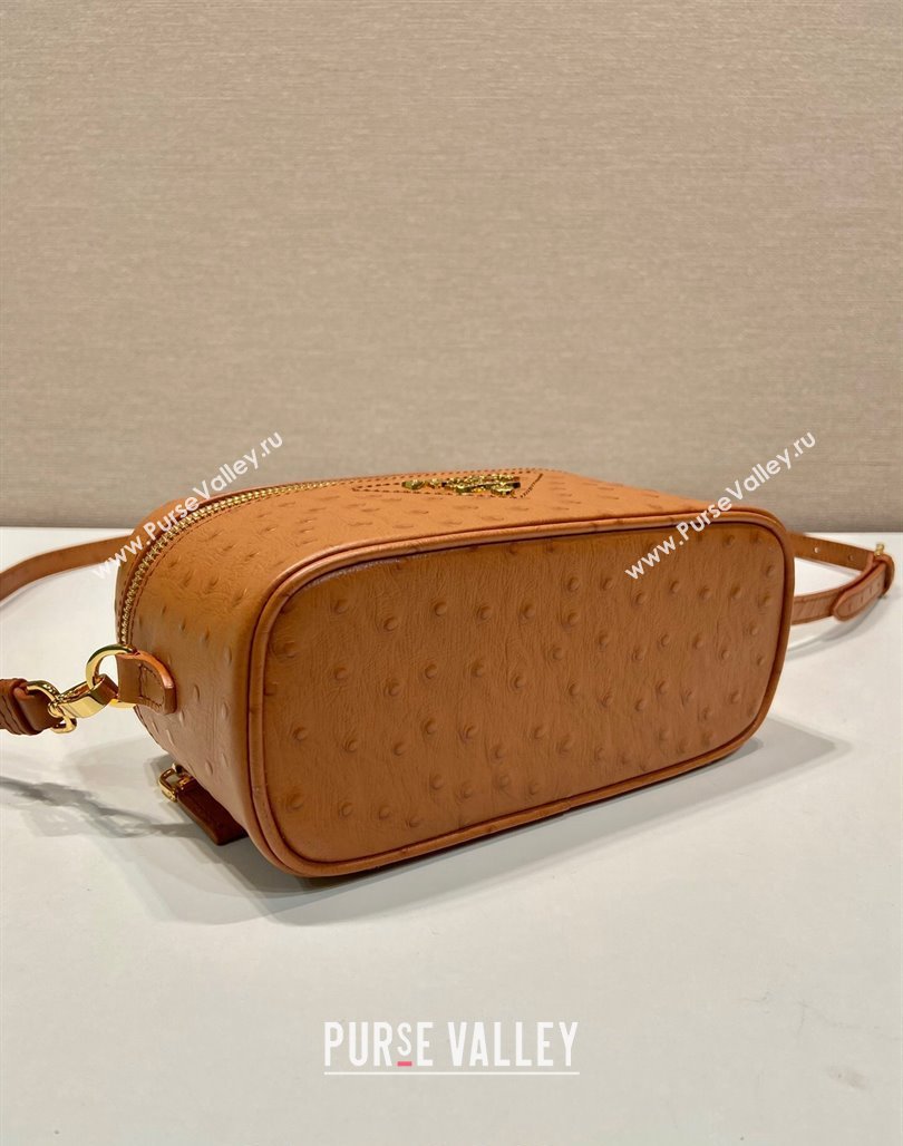 Prada Mini Bag in Ostrich Embossed Leather 1BH202 Brown 2024 (YZ-240312095)