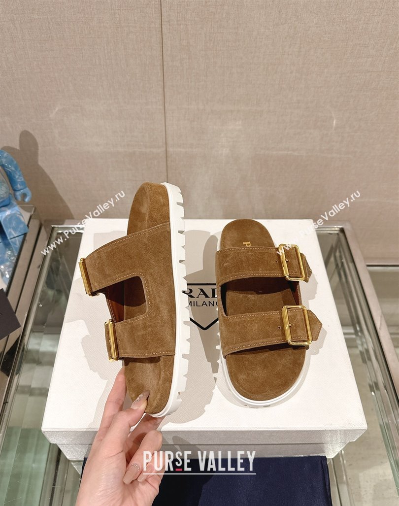 Prada Suede Flat Slide Sandals with Double Buckle Strap Brown 2024 0430 (MD-240430034)