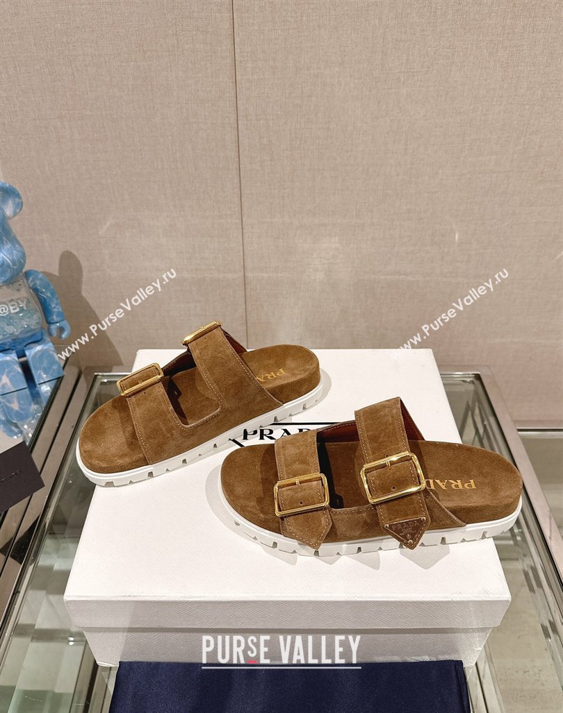 Prada Suede Flat Slide Sandals with Double Buckle Strap Brown 2024 0430 (MD-240430034)