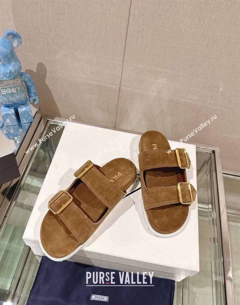 Prada Suede Flat Slide Sandals with Double Buckle Strap Brown 2024 0430 (MD-240430034)