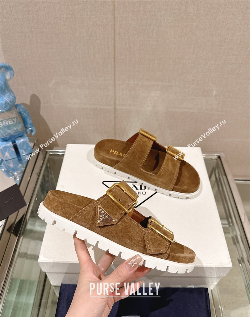 Prada Suede Flat Slide Sandals with Double Buckle Strap Brown 2024 0430 (MD-240430034)