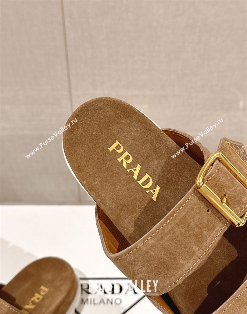 Prada Suede Flat Slide Sandals with Double Buckle Strap Brown 2024 0430 (MD-240430034)