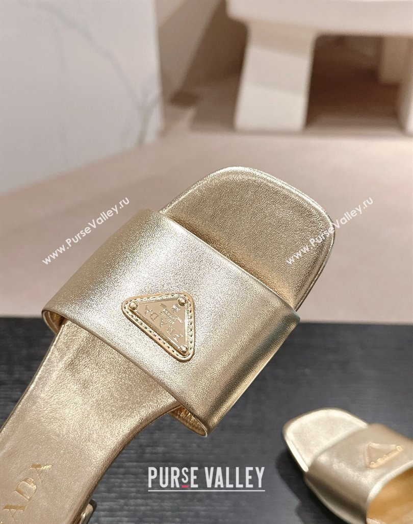 Prada Saffiano Leather Flat Slides Sandal Gold 2024 061101 (MD-240611080)