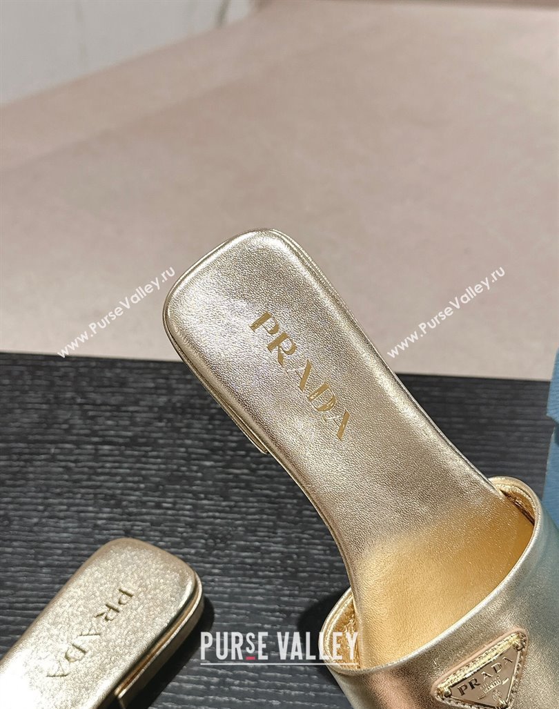 Prada Saffiano Leather Flat Slides Sandal Gold 2024 061101 (MD-240611080)