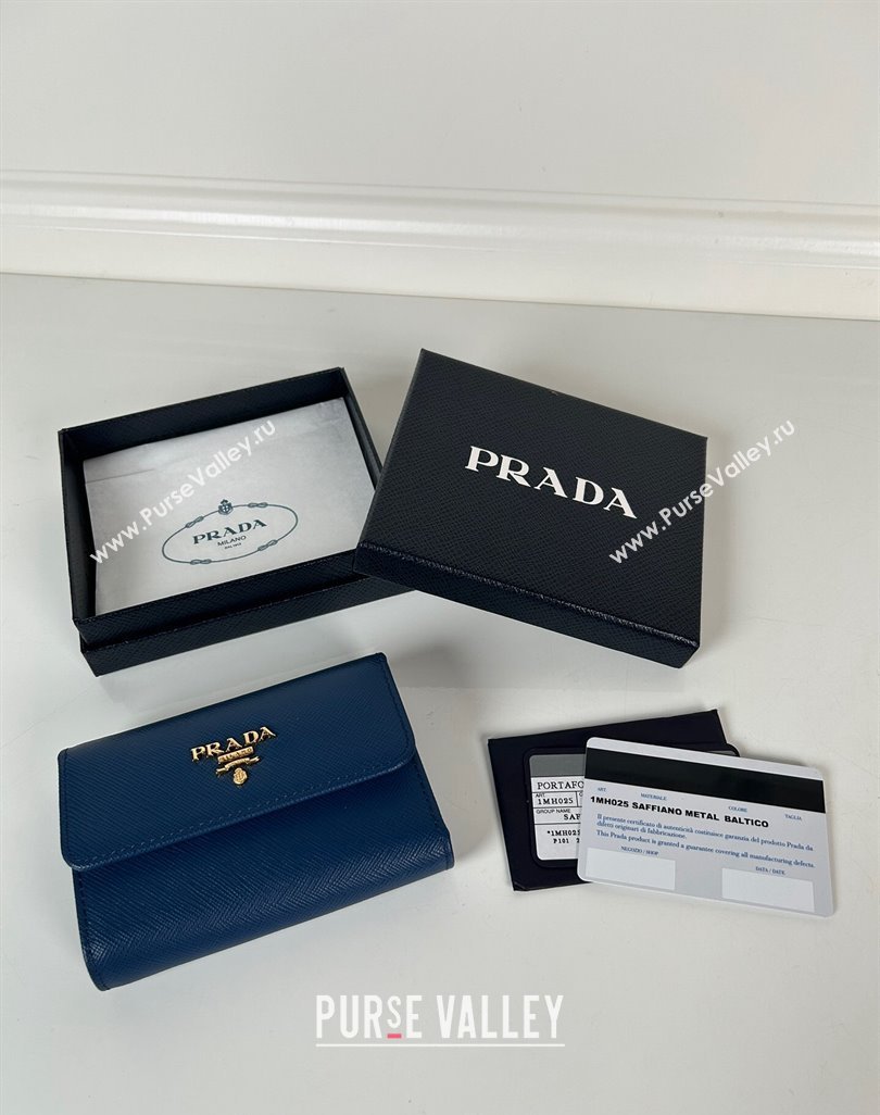 Prada Small Saffiano leather wallet Blue 2024 1MH025 (YZ-240624064)