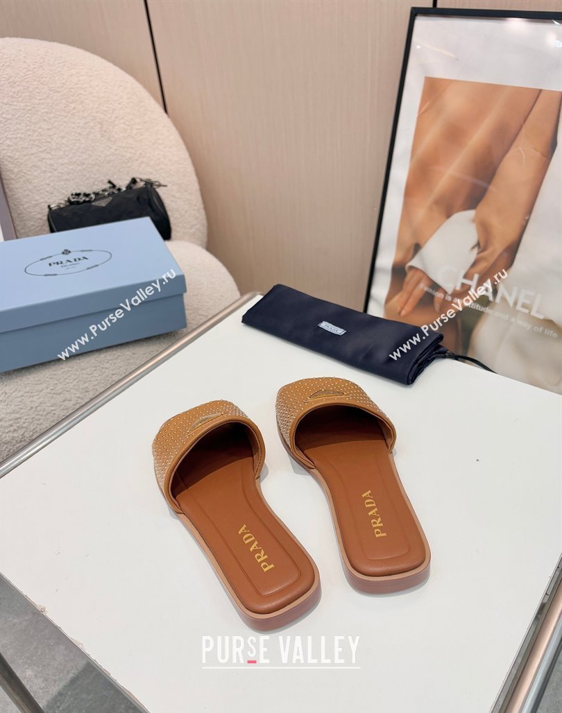 Prada Nappa leather flat slides sandal with studs Brown 2025 1XX760 (MD-250424137)