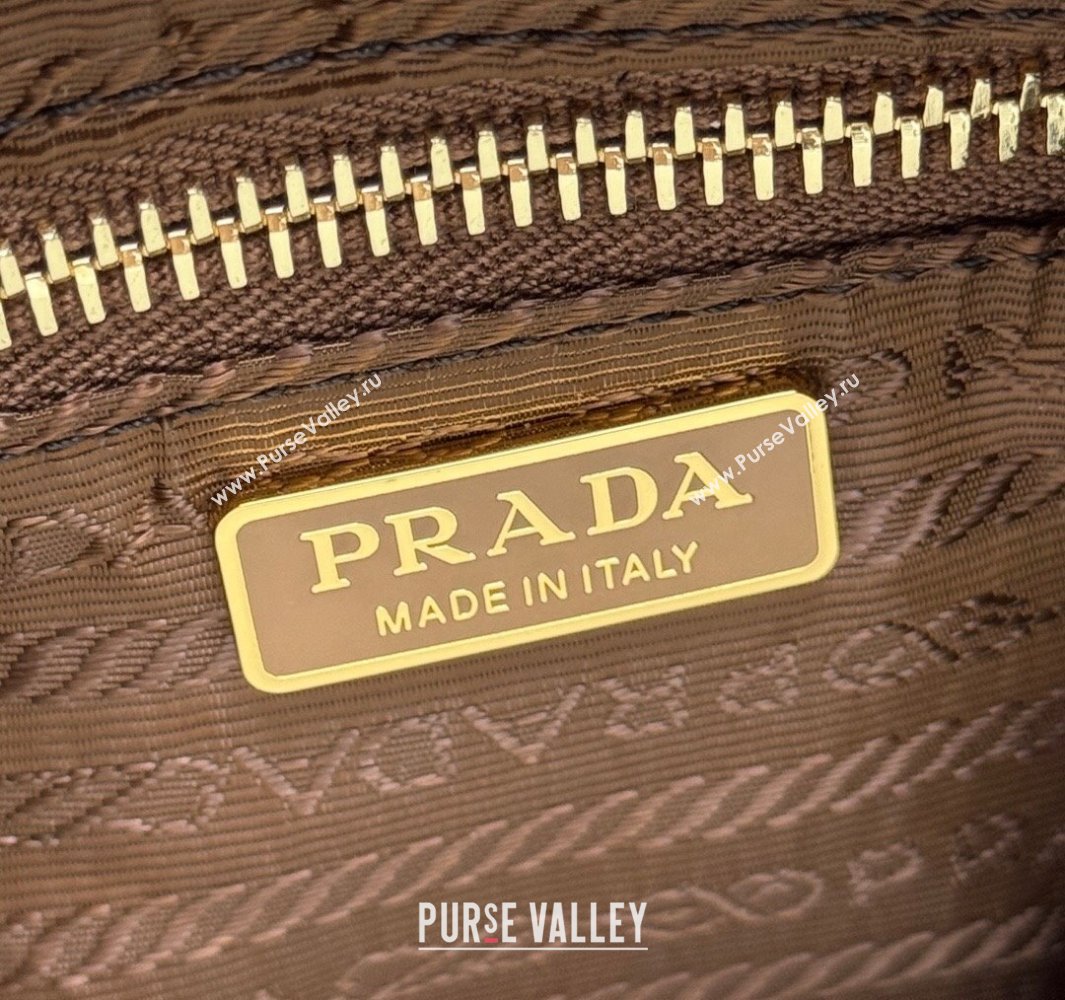 Prada Re-Edition 2005 Re-Nylon and Saffiano hobo mini bag Brandy Brown 2025 1N204M (YZ-250521075)