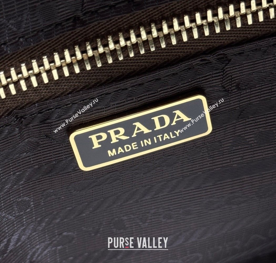 Prada Nylon Crossbody Bag Brown 2025 1BH218 (YZ-250927037)