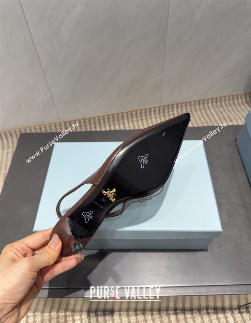 Prada Leather Slingbacks Pump 5.5cm Dark Brown 2025 PR120503 (MD-251205053)