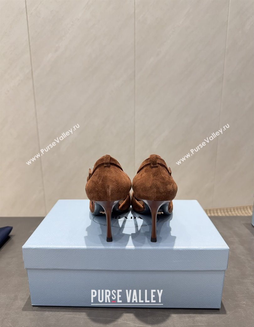 Prada Suede Heel Pumps 7.5cm with Bow Buckle Brown 2025 PR120602 (MD-251206008)