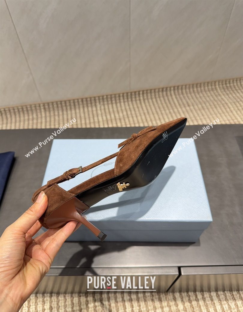 Prada Suede Heel Pumps 7.5cm with Bow Buckle Brown 2025 PR120602 (MD-251206008)