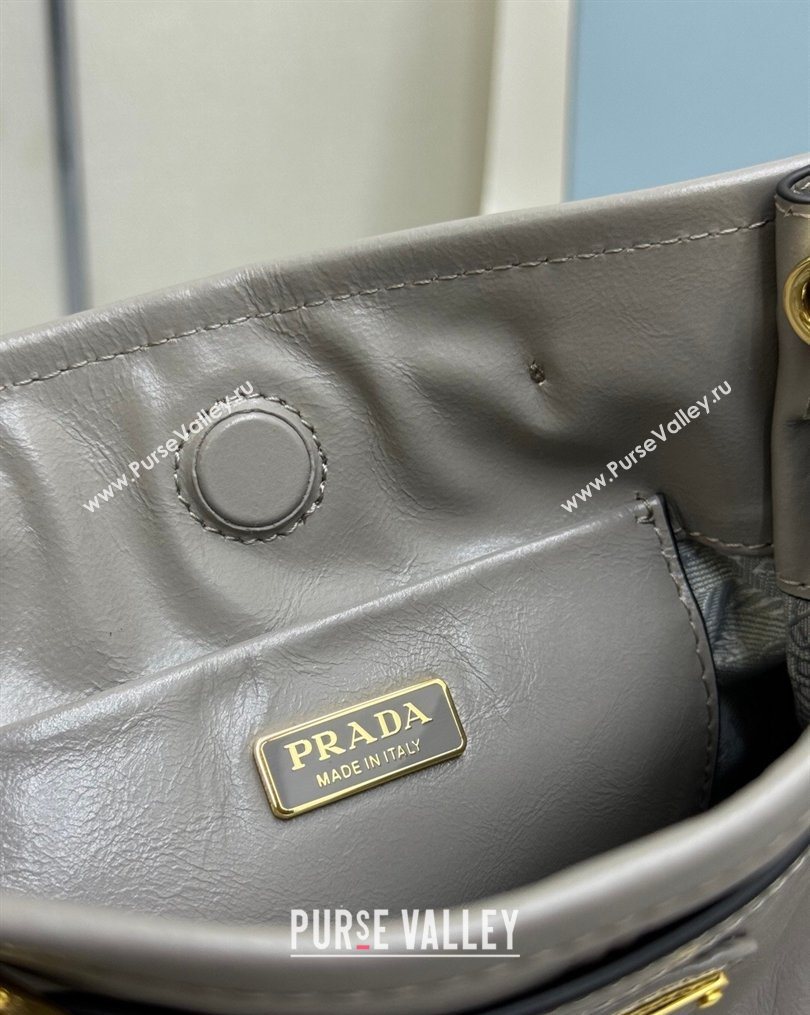 Prada Bonnie leather mini shoulder bag Light Grey 2026 1BH229 (YZ-260123024)