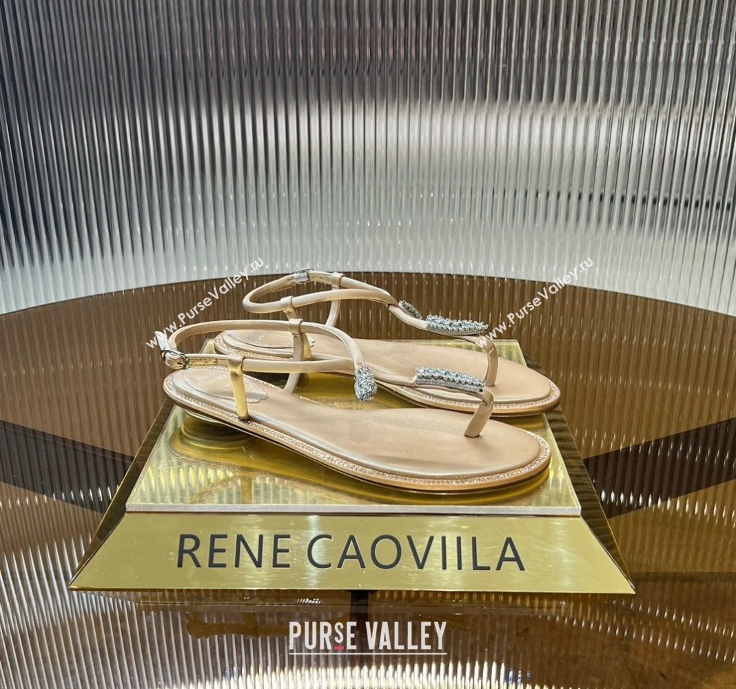 Rene Caovilla Serpente Flat Thong Sandal in Silk and Lambskin with Strass Gold 2024 0704 (MD-240704017)