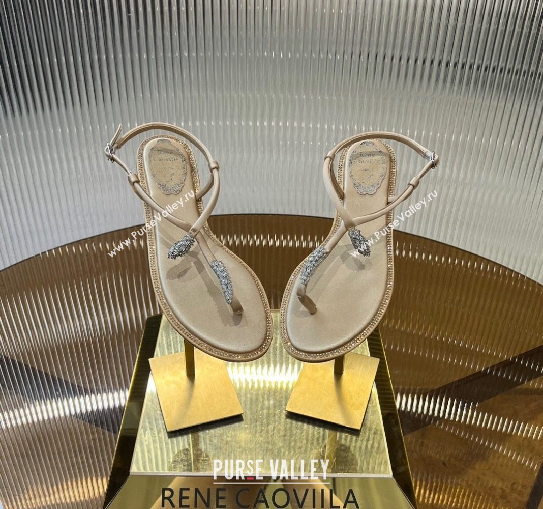 Rene Caovilla Serpente Flat Thong Sandal in Silk and Lambskin with Strass Gold 2024 0704 (MD-240704017)