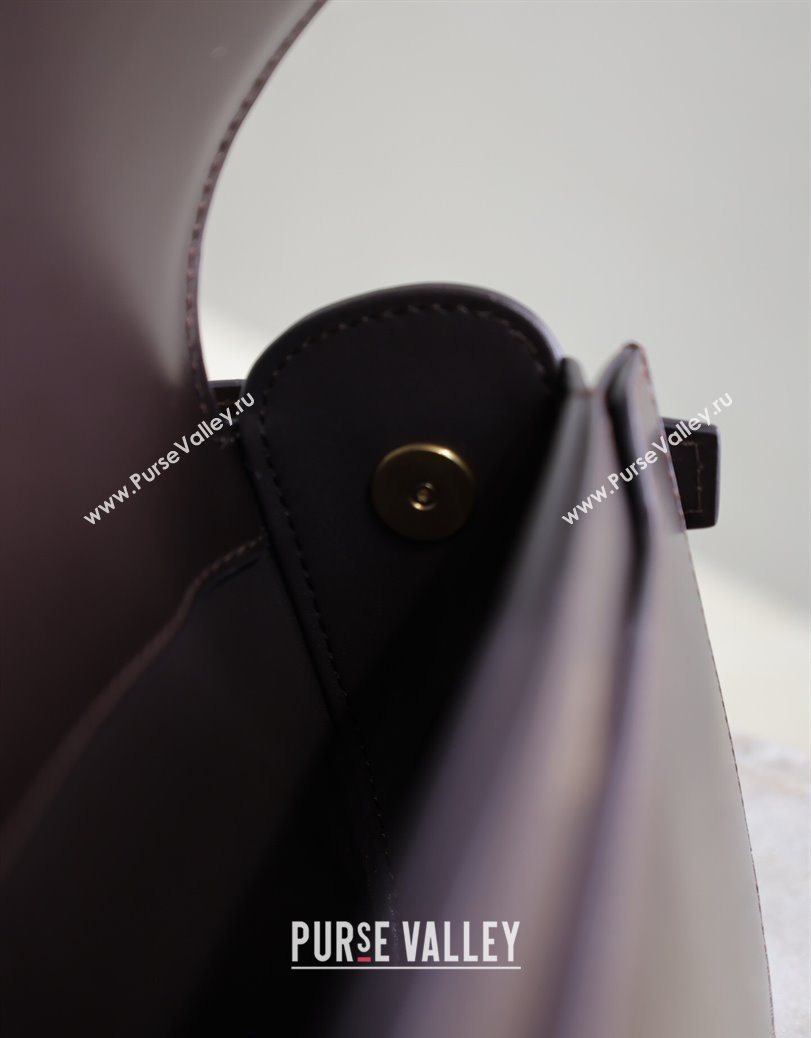 Saint Laurent Voltaire Bag in Box Leather Coffee 2025 7876710 (YY-250801083)