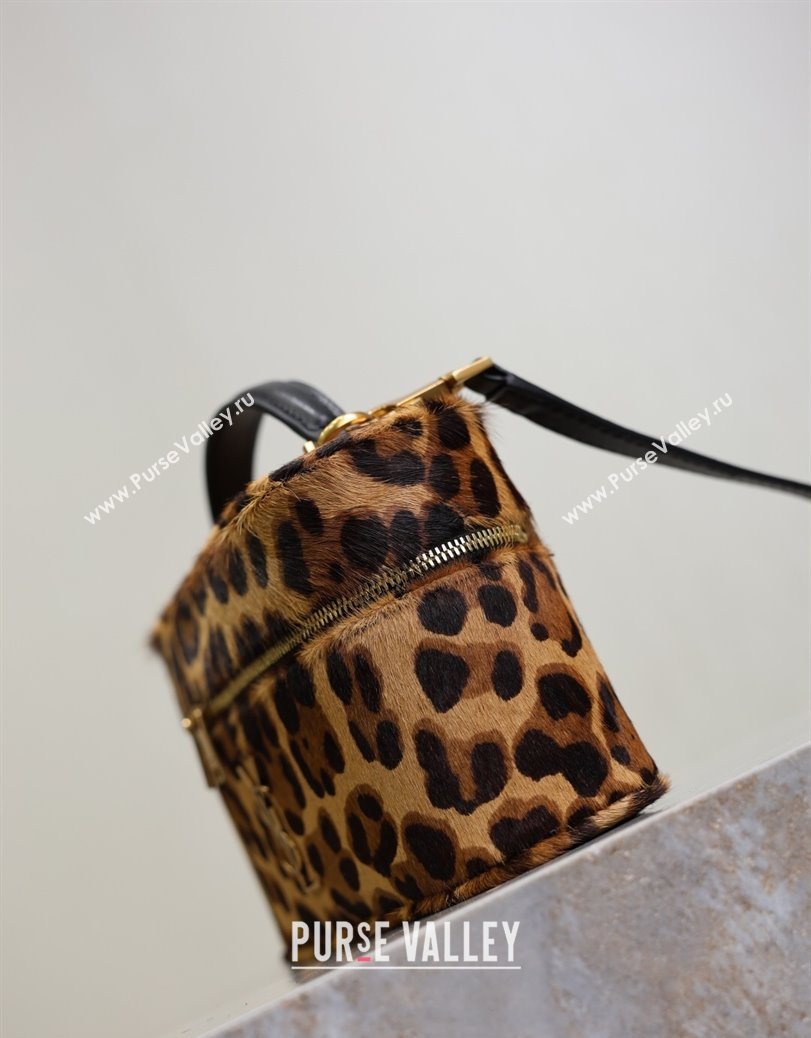 Saint Laurent Gaby Vanity Bag in in Leopard Print Pony Hair 2025 766731 (YY-250802028)