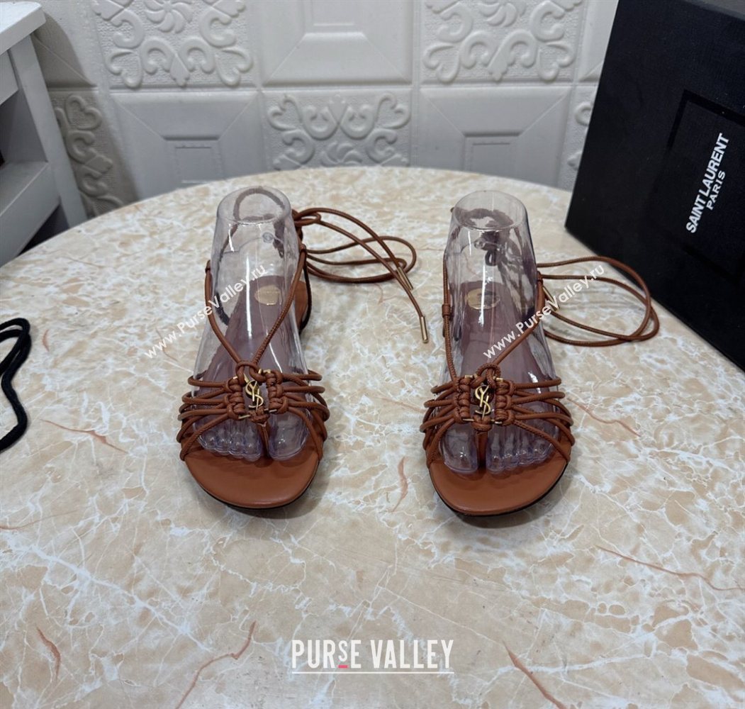 Saint Laurent Leather Strap Flat Sandals Brown 2025 1027 (MD-251028142)