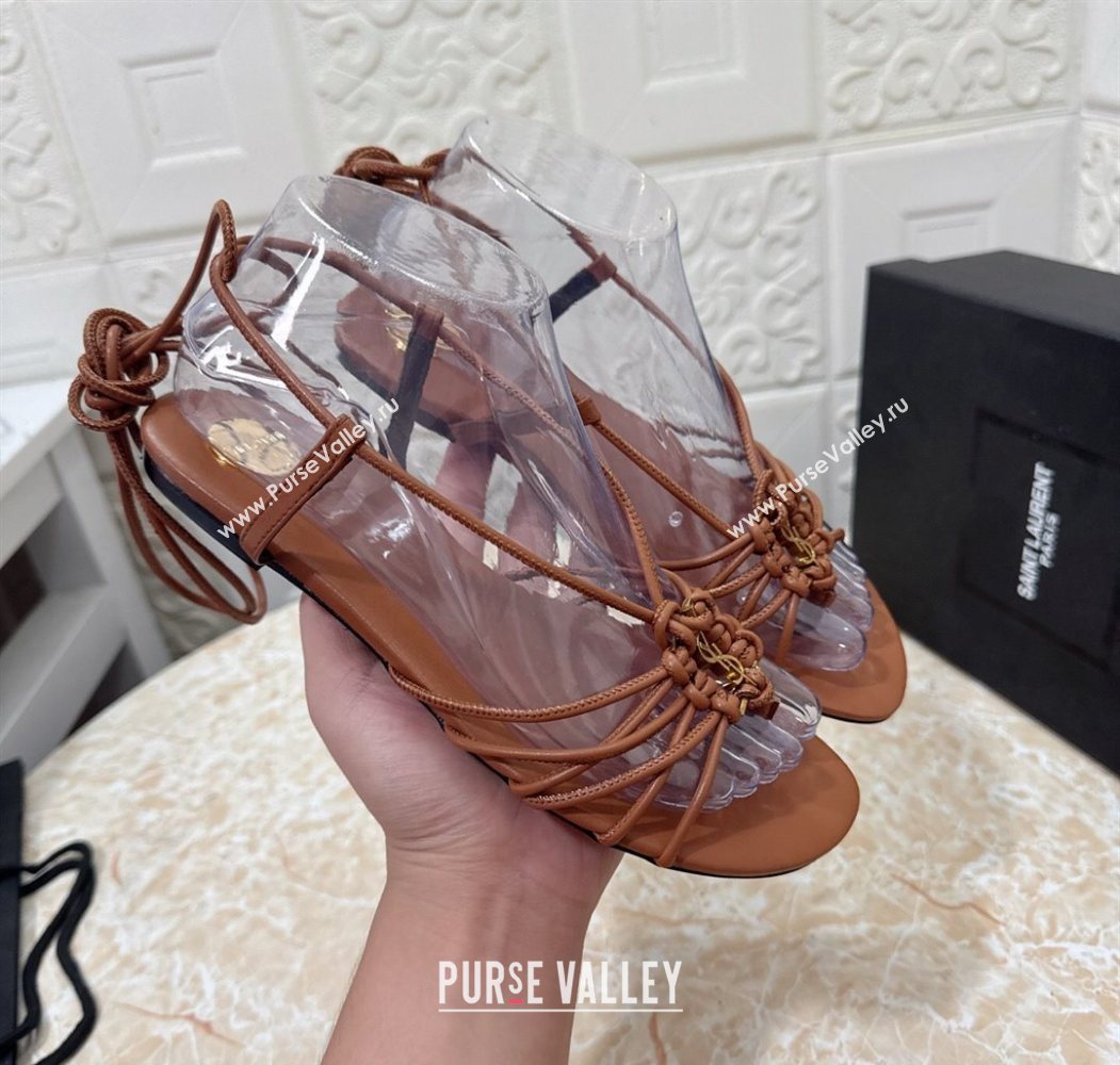 Saint Laurent Leather Strap Flat Sandals Brown 2025 1027 (MD-251028142)