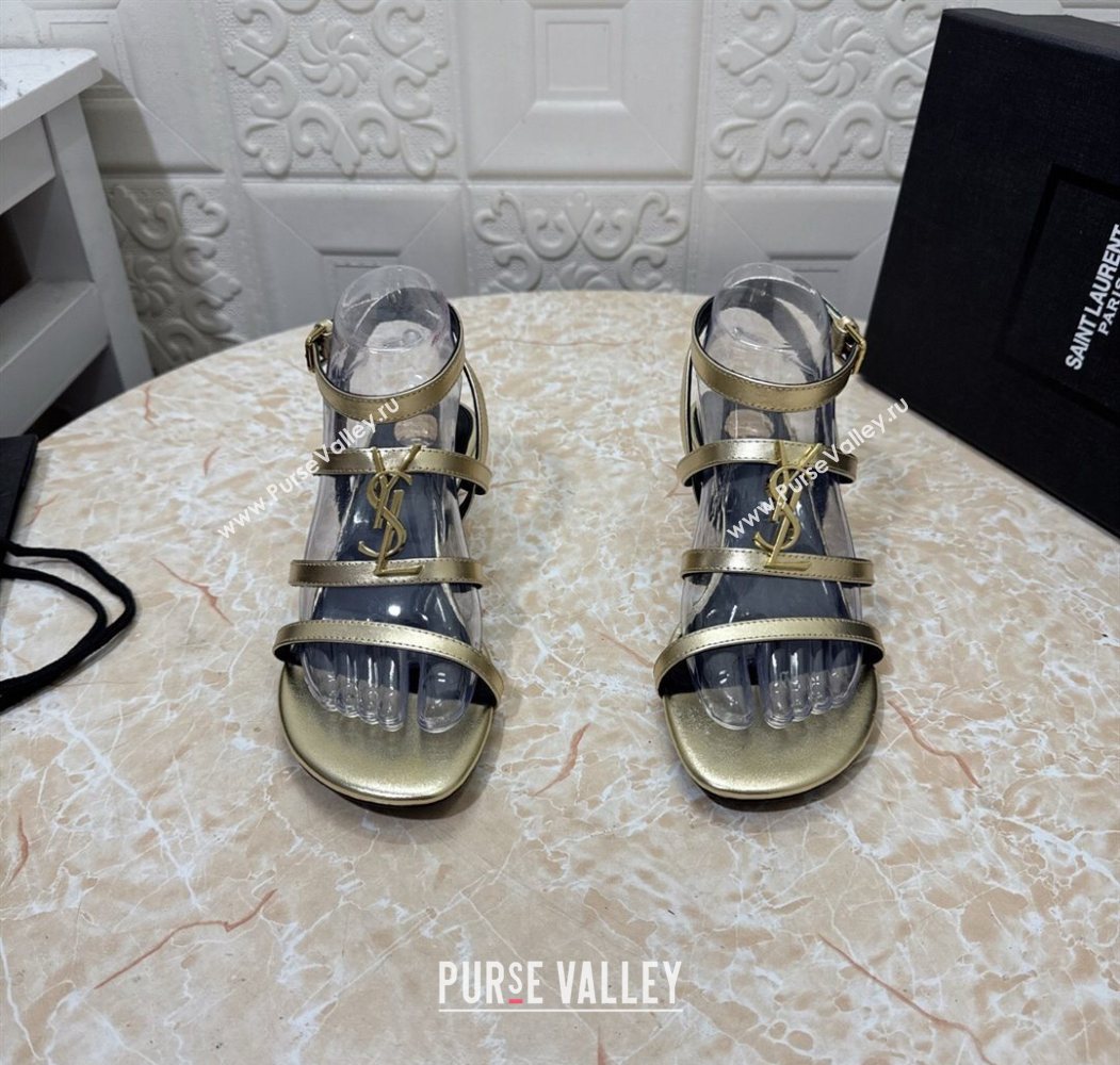 Saint Laurent Leather Strap Wedge Sandals 3.5cm Gold 2025 1028 (MD-251028133)