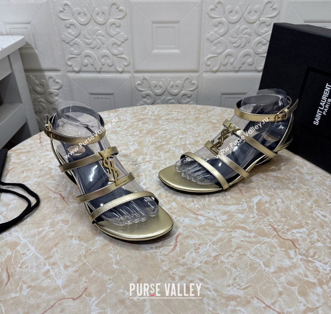 Saint Laurent Leather Strap Wedge Sandals 3.5cm Gold 2025 1028 (MD-251028133)