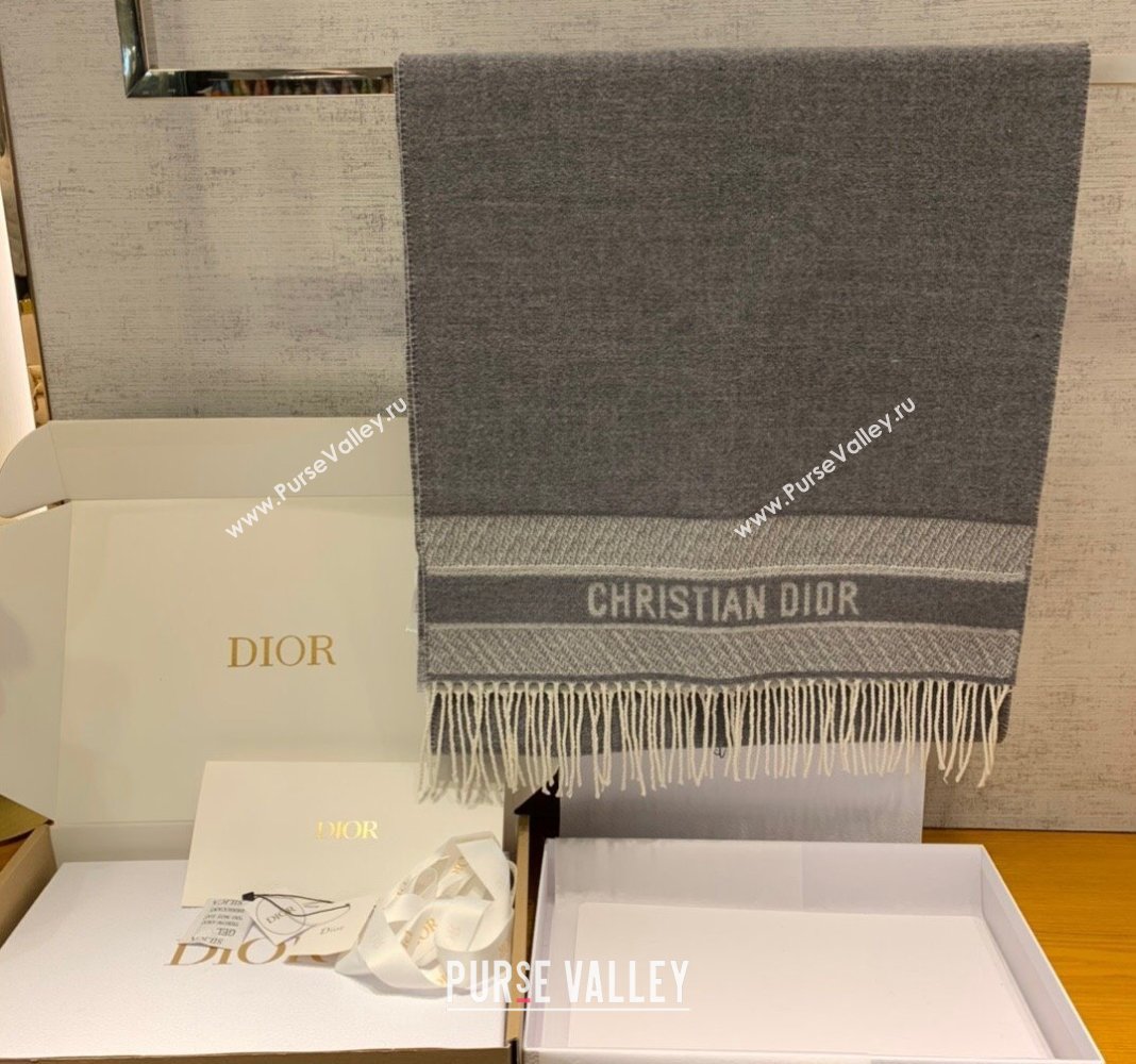 Dior Cashmere Long Scarf with Fringe 45x200cm Grey 2024 0111 (wns-240111036)