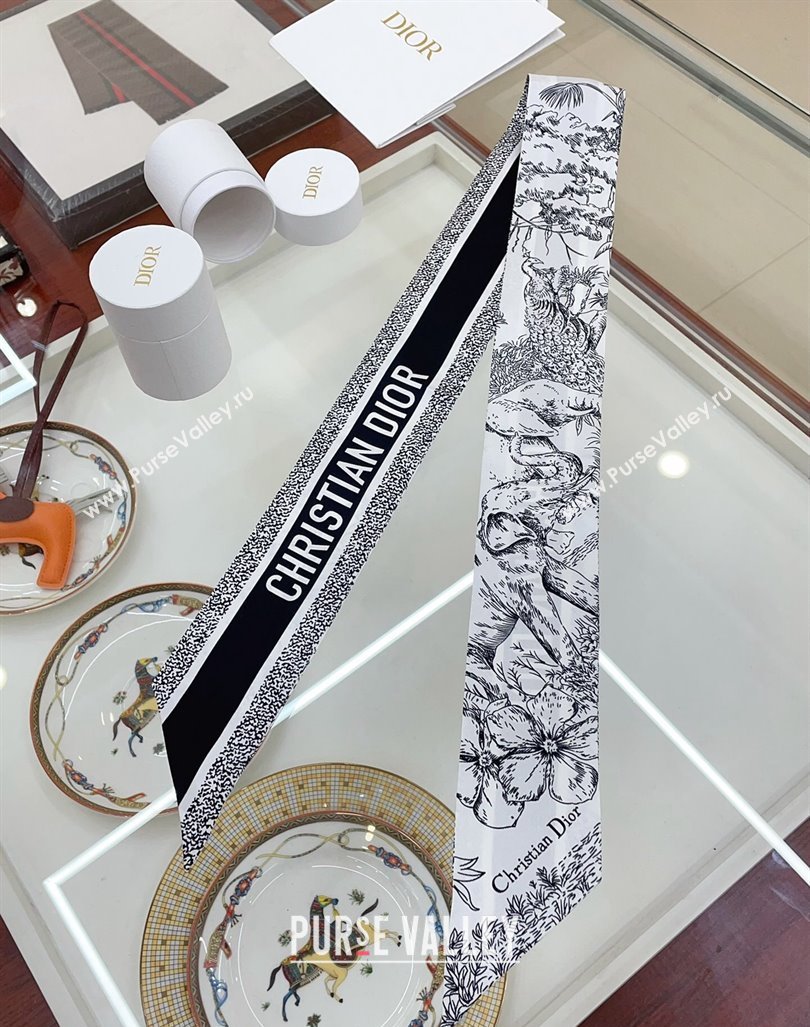 Dior Silk Bandeau Scarf 8x100cm White 2024 0407 (A-240407072)
