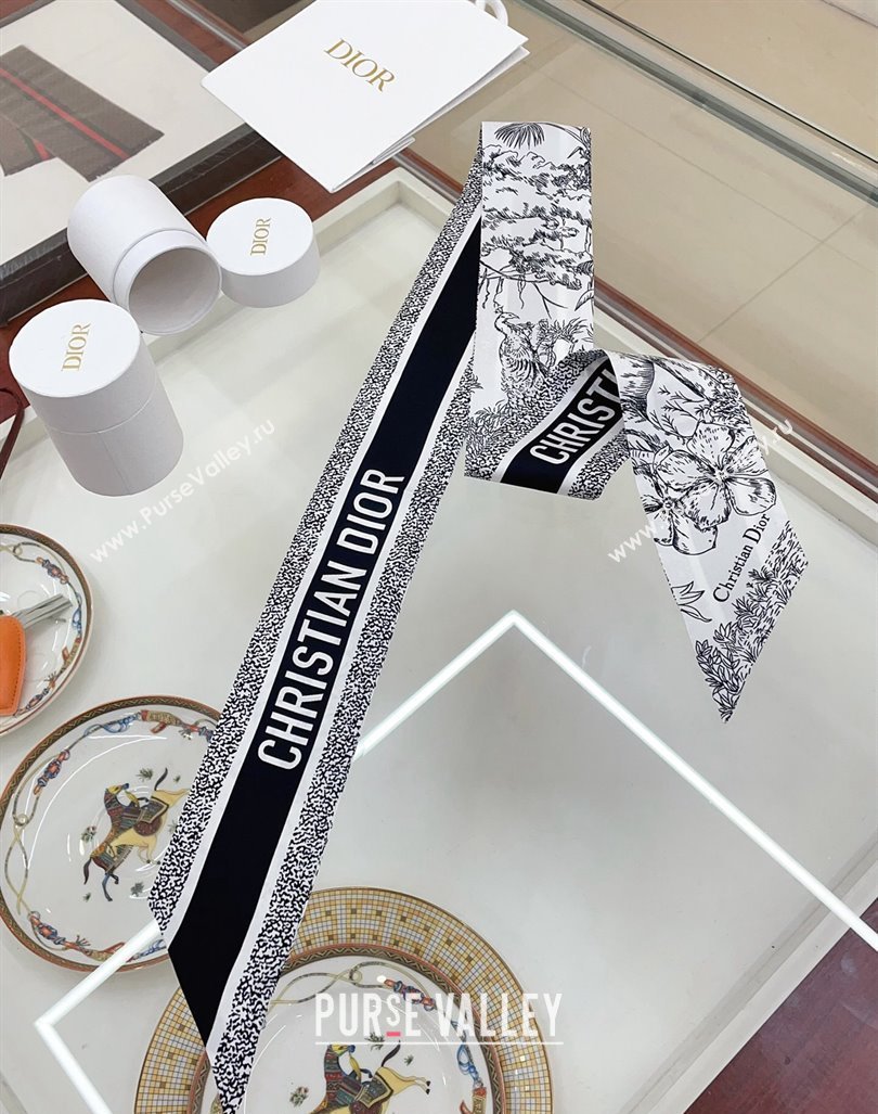 Dior Silk Bandeau Scarf 8x100cm White 2024 0407 (A-240407072)