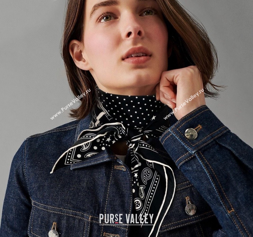 Hermes All Aboard! bandana Sqaure Scarf 90x90cm Black 2024 (A-240407023)