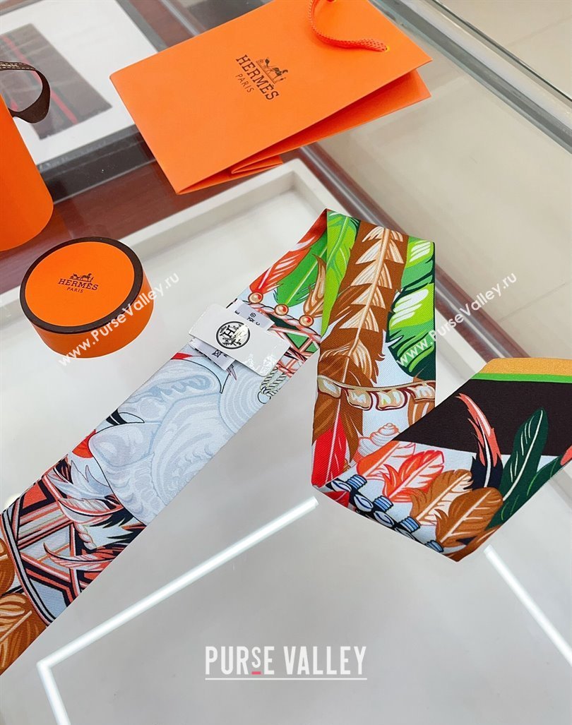 Hermes Silk Bandeau Scarf 5x86cm Black 2024 040703 (A-240407067)