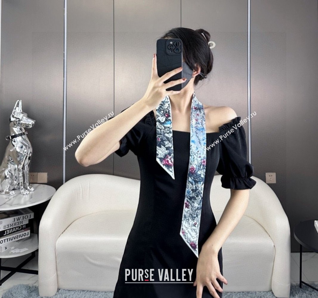 Dior Silk Bandeau Scarf Blue 2024 073001 (A-240730114)
