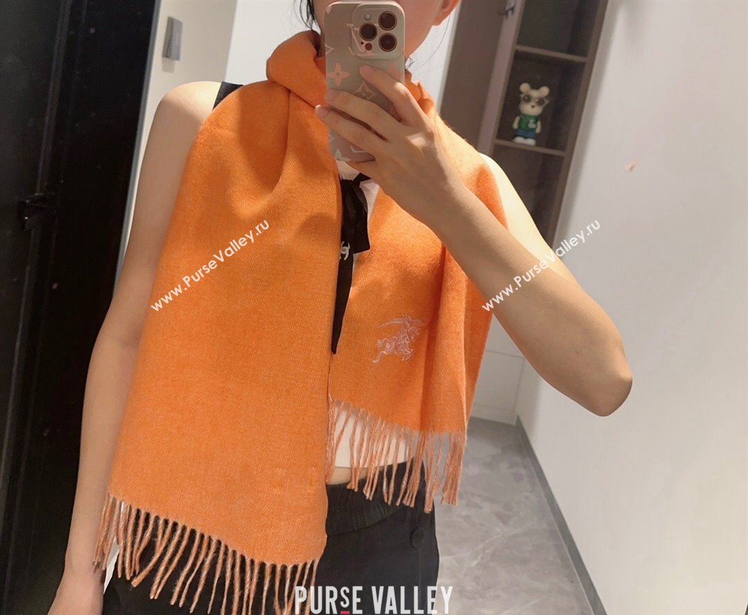 Burberry Logo Long Scarf 30x180cm Orange 2024 0912 (XMN-240912094)