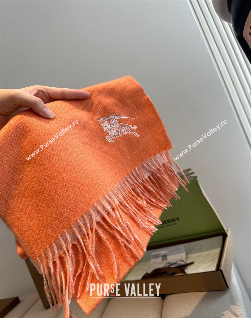 Burberry Logo Long Scarf 30x180cm Orange 2024 0912 (XMN-240912094)