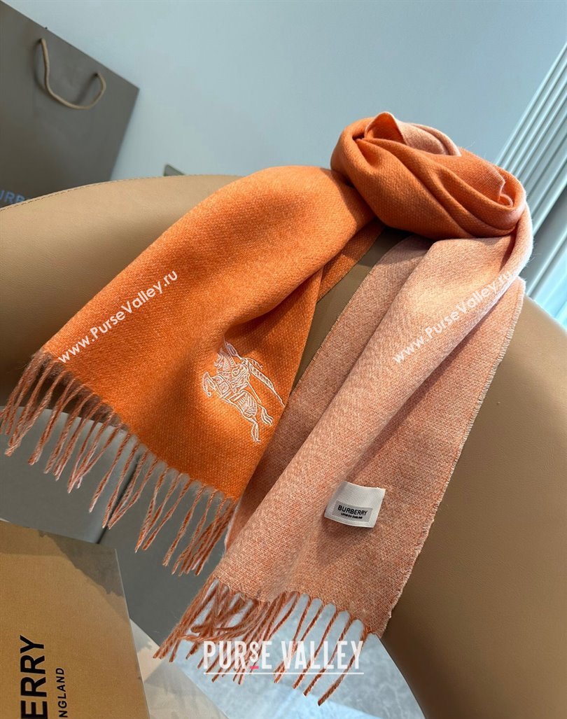 Burberry Logo Long Scarf 30x180cm Orange 2024 0912 (XMN-240912094)