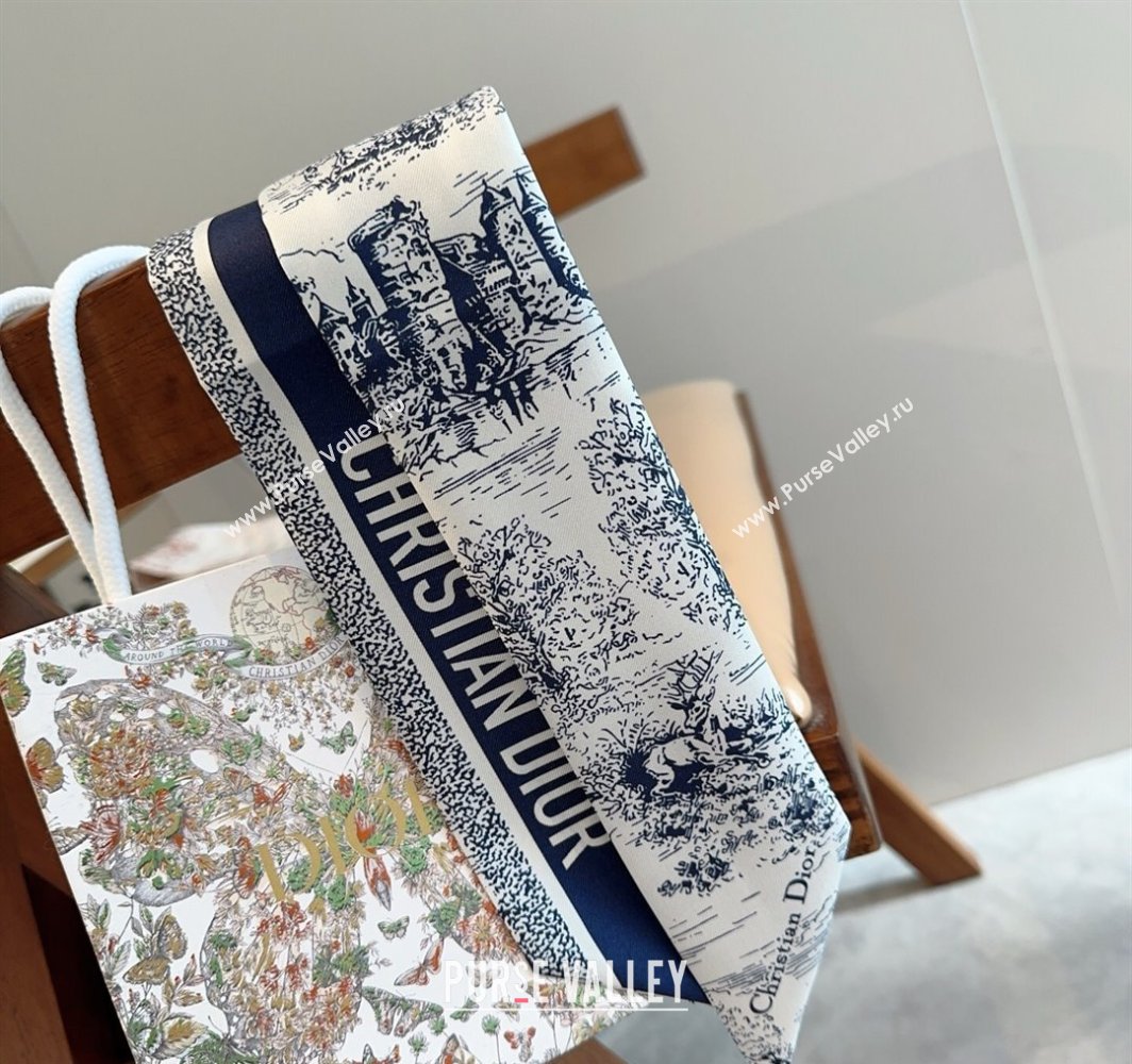 Dior Mitzah Silk Bandeau Scarf Blue 2025 DR03192 (XMN-250319007)