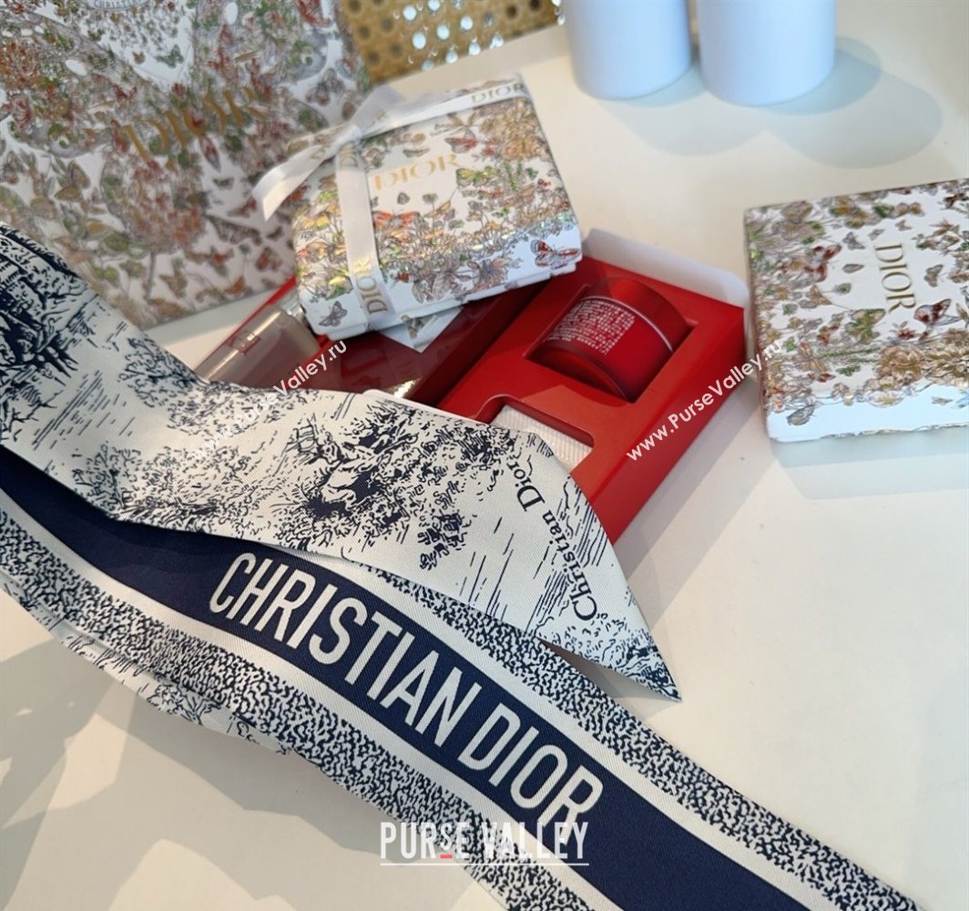 Dior Mitzah Silk Bandeau Scarf Blue 2025 DR03192 (XMN-250319007)