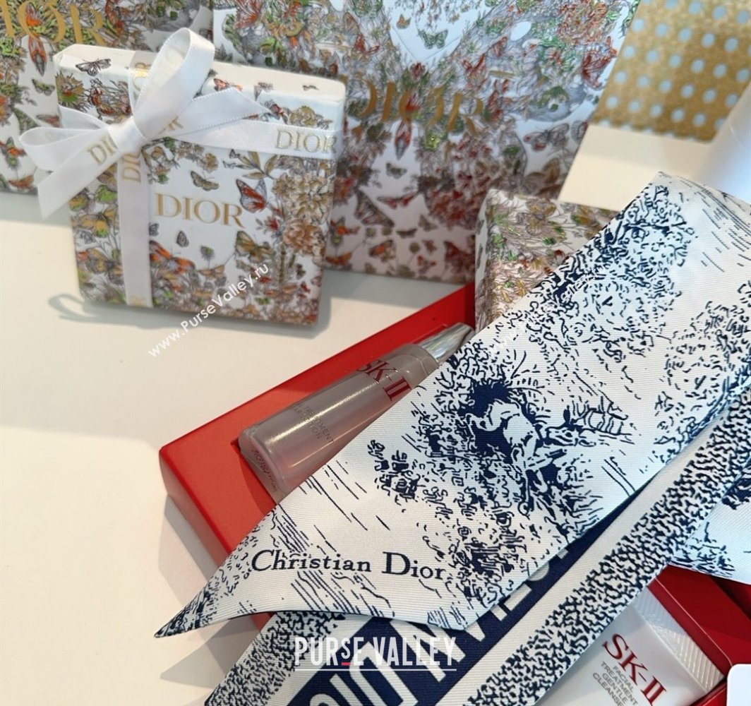 Dior Mitzah Silk Bandeau Scarf Blue 2025 DR03192 (XMN-250319007)