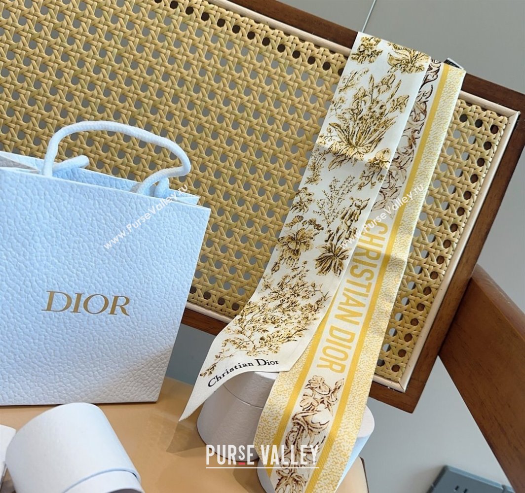 Dior Mitzah Silk Bandeau Scarf Yellow 2025 DR03193 (XMN-250319008)