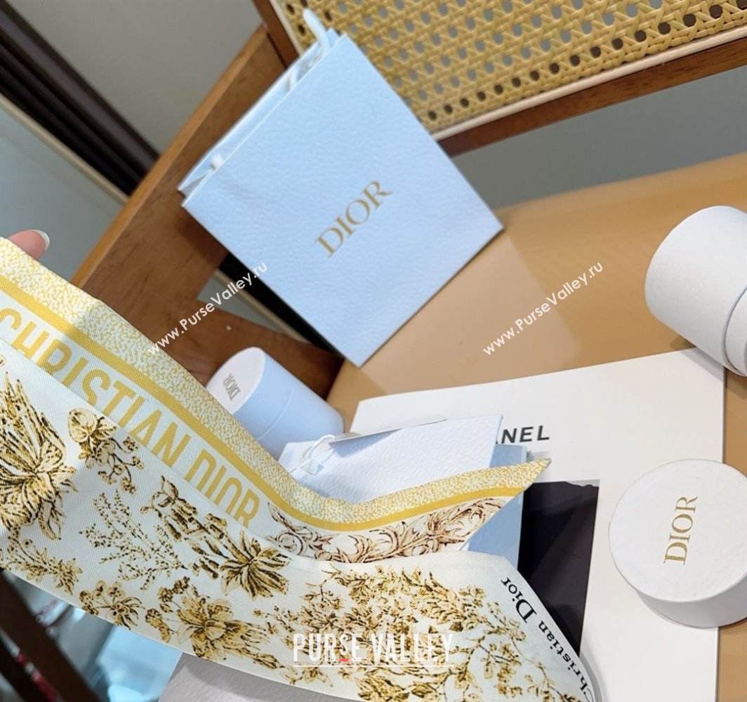 Dior Mitzah Silk Bandeau Scarf Yellow 2025 DR03193 (XMN-250319008)