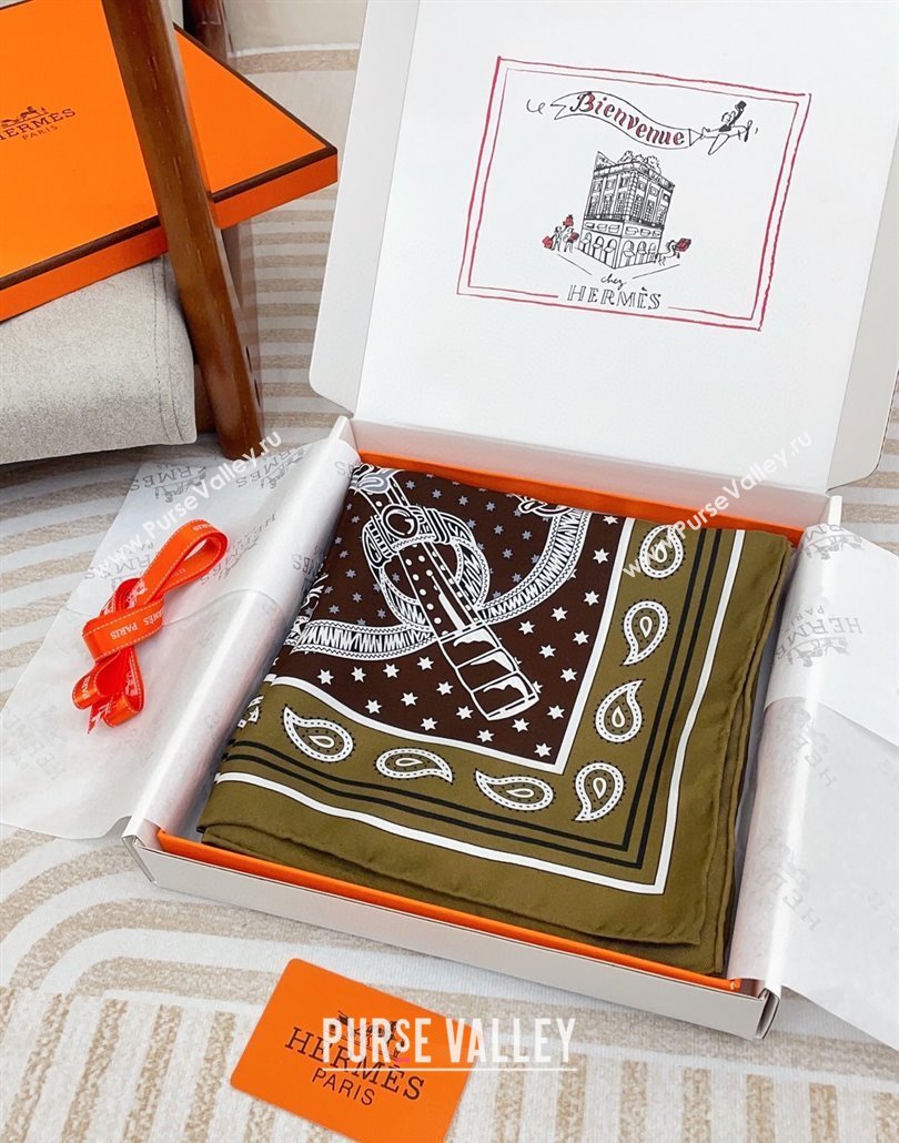 Hermes Eperon dOr bandana Silk Square Scarf 90x90cm Olive 2025 (SHI-250319087)