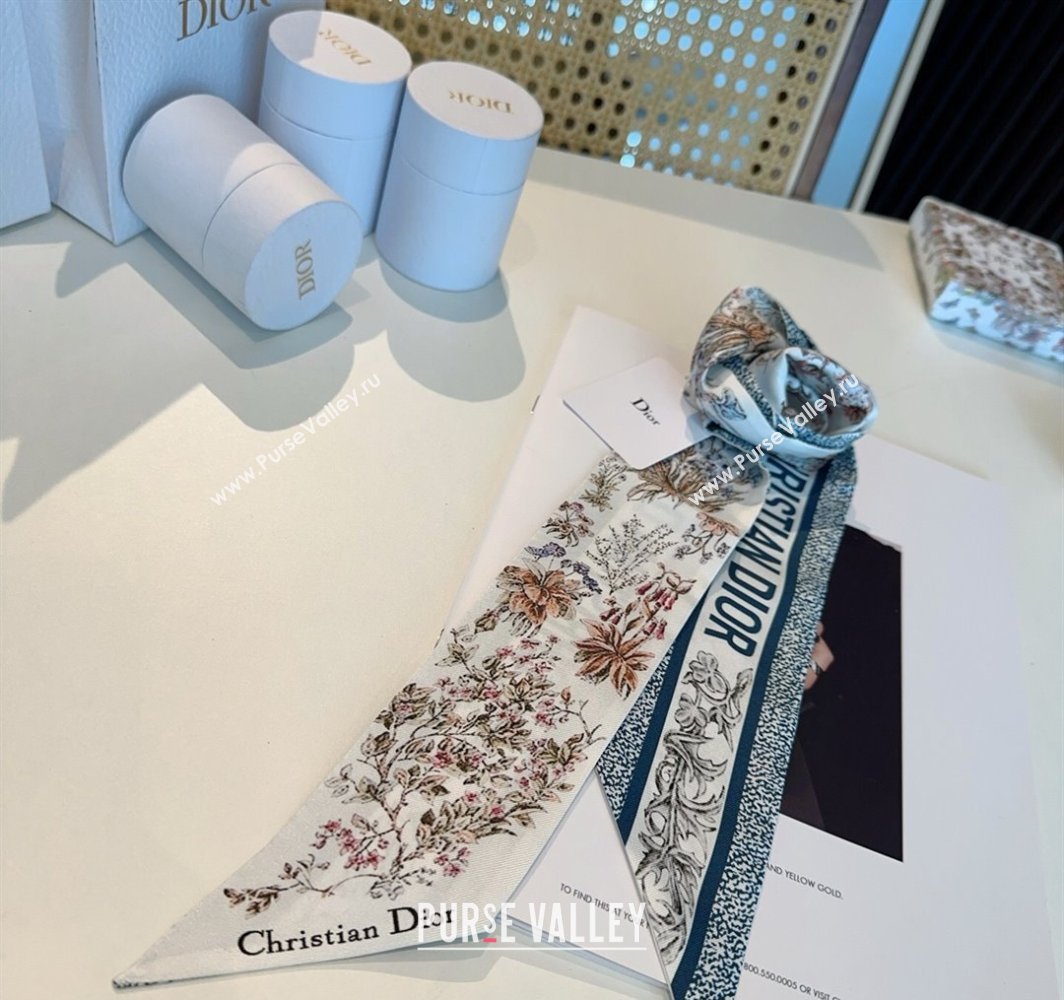 Dior Mitzah Silk Bandeau Scarf Blue 2025 DR03193 (XMN-250319009)